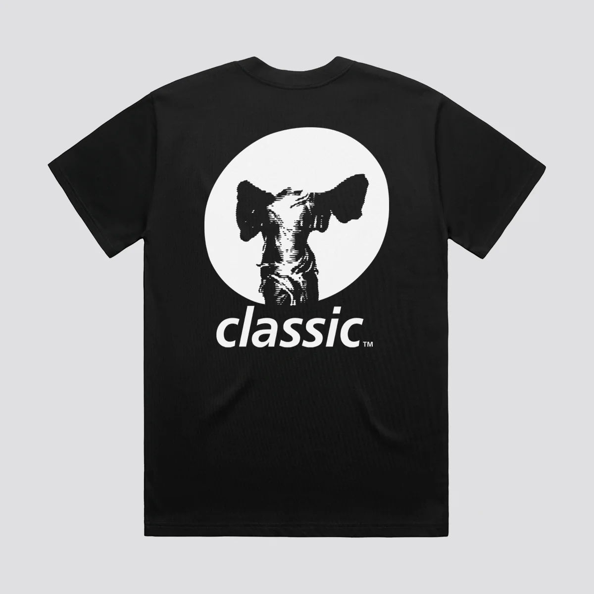 Classic Logo T-Shirt - Image 5