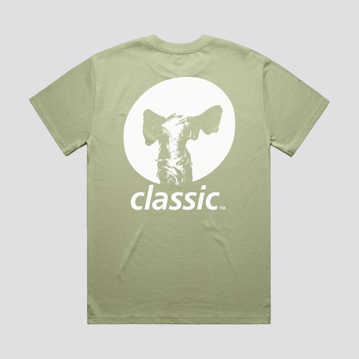 Classic Logo T-Shirt - Image 7